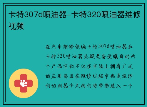 卡特307d喷油器-卡特320喷油器维修视频