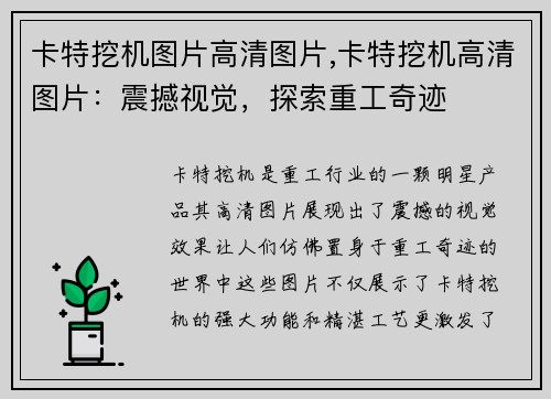 卡特挖机图片高清图片,卡特挖机高清图片：震撼视觉，探索重工奇迹
